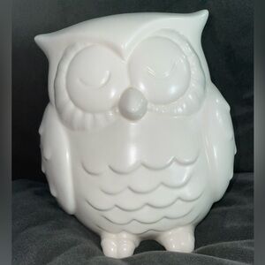 Elegant White Owl Decor